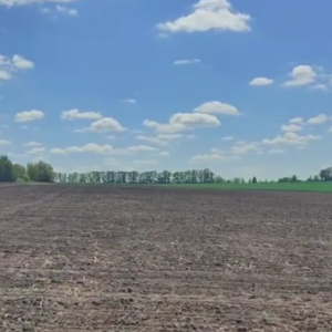 ФГ «Агро Вікторія»